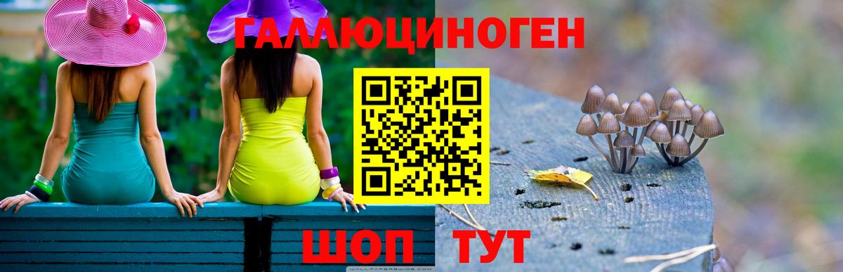 как найти   Вход с VPN  Артём  Псилоцибиновые грибы мицелий 