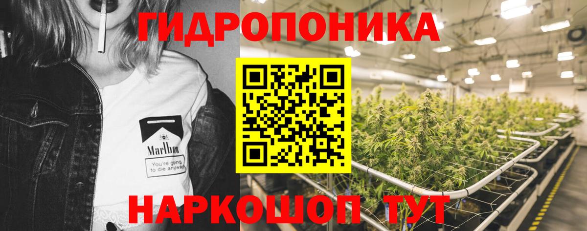 Марихуана MAZAR  Бошки Шишки тримм  Шишки марихуана White Widow  Артём  Бошки марихуана ГИДРОПОН  Вход с VPN 